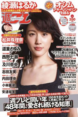 电视剧战旗全集播放